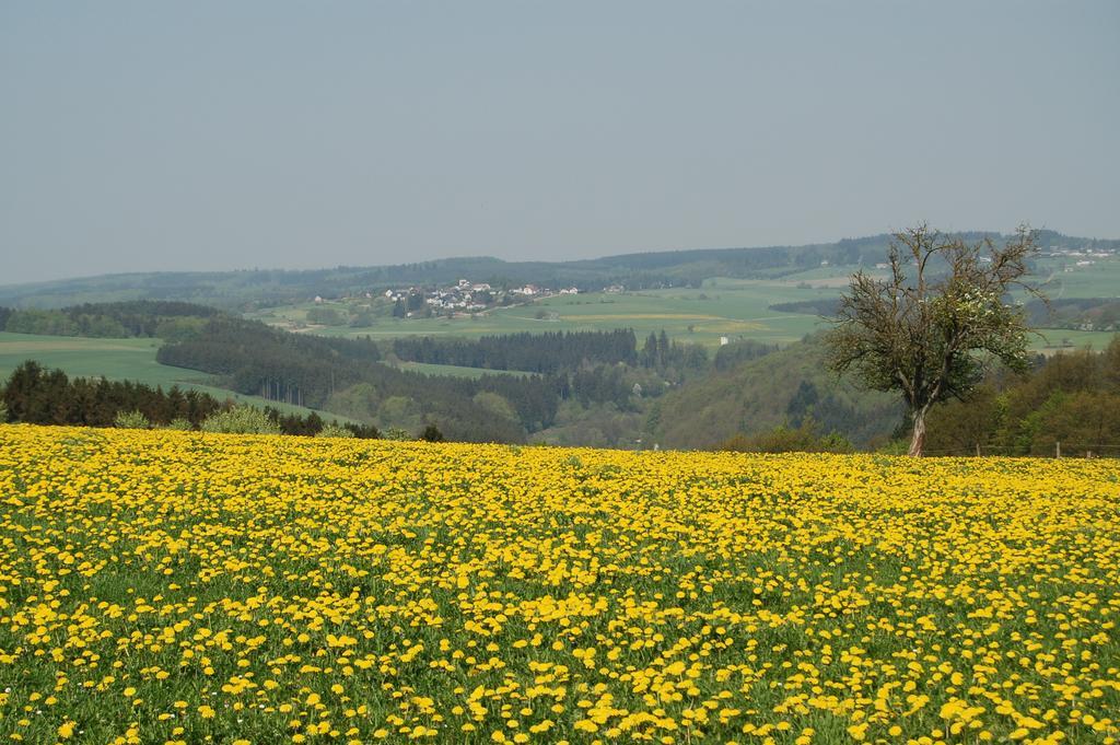 Landgasthaus Pfahl Wershofen Dış mekan fotoğraf