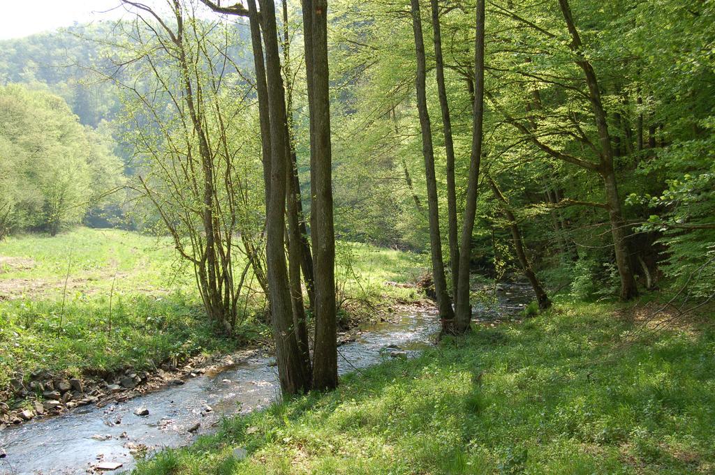 Landgasthaus Pfahl Wershofen Dış mekan fotoğraf